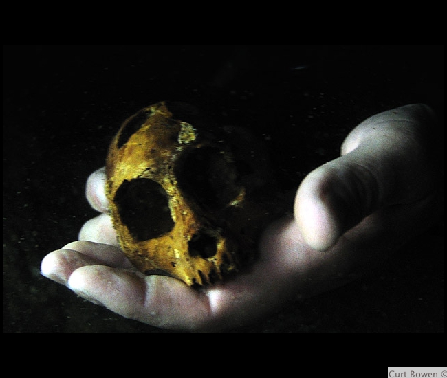 Extinct Primate Skull - Dominican Republic
